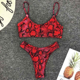 High Waist  Animal Print Thong 2pc Swimsuit