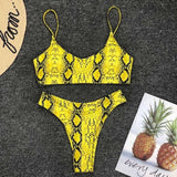 High Waist  Animal Print Thong 2pc Swimsuit